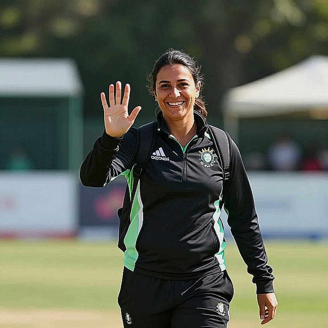 The Empty Sheet and the Full Ground: When a Cricket Report Came Back With 'Insufficient Information' in Every Cell